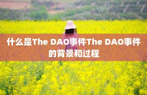 什么是The DAO事件The DAO事件的背景和过程