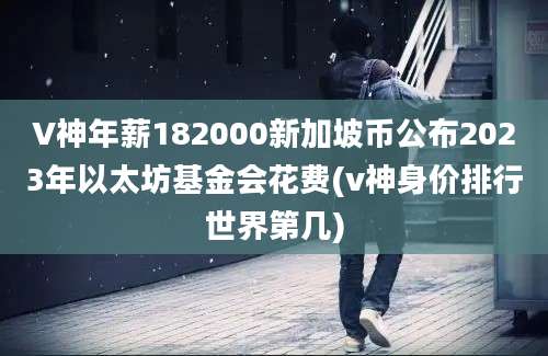 V神年薪182000新加坡币公布2023年以太坊基金会花费(v神身价排行世界第几)