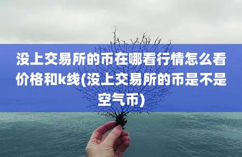 没上交易所的币在哪看行情怎么看价格和k线(没上交易所的币是不是空气币)