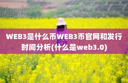 WEB3是什么币WEB3币官网和发行时间分析(什么是web3.0)