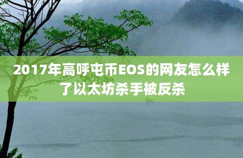 2017年高呼屯币EOS的网友怎么样了以太坊杀手被反杀