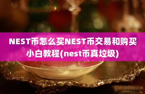 NEST币怎么买NEST币交易和购买小白教程(nest币真垃圾)