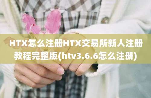 HTX怎么注册HTX交易所新人注册教程完整版(htv3.6.6怎么注册)