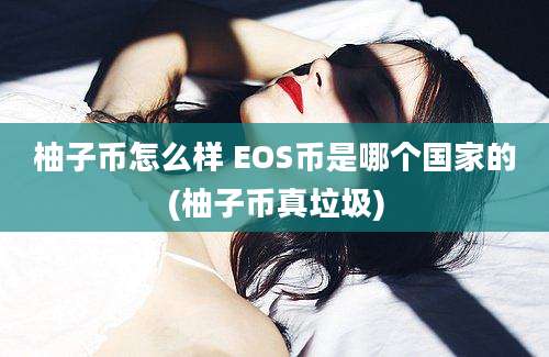 柚子币怎么样 EOS币是哪个国家的(柚子币真垃圾)