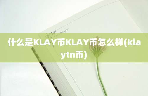 什么是KLAY币KLAY币怎么样(klaytn币)