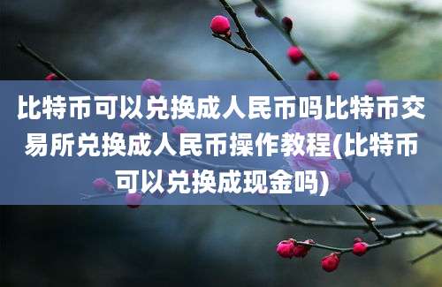 比特币可以兑换成人民币吗比特币交易所兑换成人民币操作教程(比特币可以兑换成现金吗)