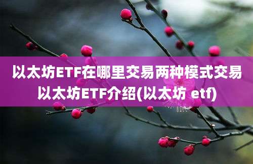 以太坊ETF在哪里交易两种模式交易以太坊ETF介绍(以太坊 etf)