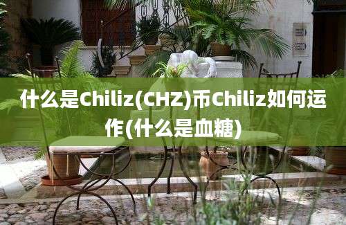 什么是Chiliz(CHZ)币Chiliz如何运作(什么是血糖)