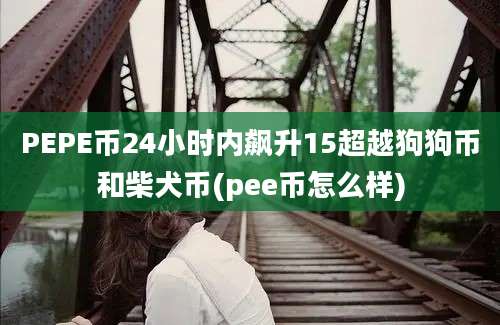 PEPE币24小时内飙升15超越狗狗币和柴犬币(pee币怎么样)