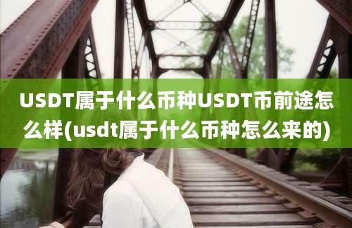 USDT属于什么币种USDT币前途怎么样(usdt属于什么币种怎么来的)