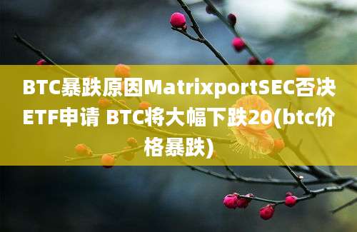 BTC暴跌原因MatrixportSEC否决ETF申请 BTC将大幅下跌20(btc价格暴跌)