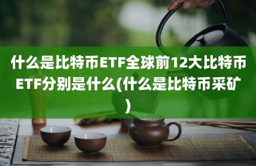 什么是比特币ETF全球前12大比特币ETF分别是什么(什么是比特币采矿)