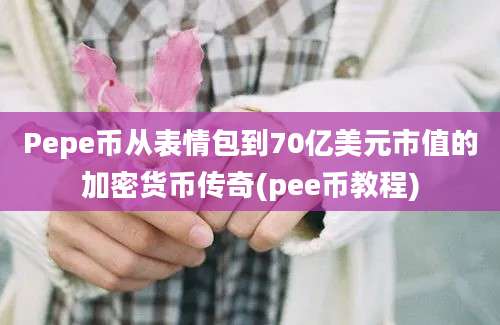 Pepe币从表情包到70亿美元市值的加密货币传奇(pee币教程)