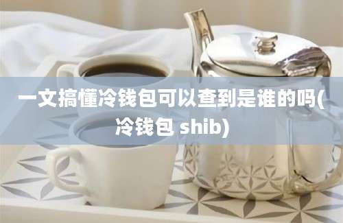 一文搞懂冷钱包可以查到是谁的吗(冷钱包 shib)