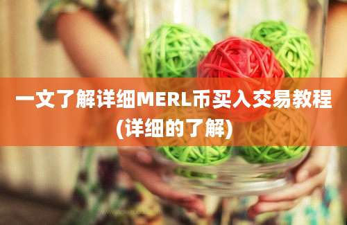 一文了解详细MERL币买入交易教程(详细的了解)