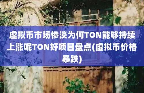 虚拟币市场惨淡为何TON能够持续上涨呢TON好项目盘点(虚拟币价格暴跌)