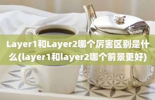 Layer1和Layer2哪个厉害区别是什么(layer1和layer2哪个前景更好)