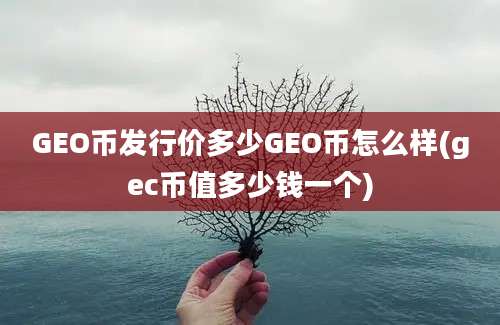 GEO币发行价多少GEO币怎么样(gec币值多少钱一个)