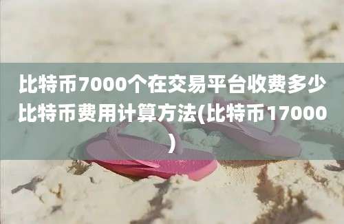 比特币7000个在交易平台收费多少比特币费用计算方法(比特币17000)