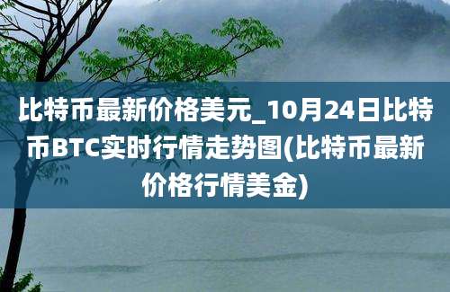 比特币最新价格美元_10月24日比特币BTC实时行情走势图(比特币最新价格行情美金)