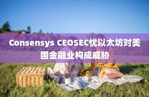 Consensys CEOSEC忧以太坊对美国金融业构成威胁