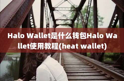 Halo Wallet是什么钱包Halo Wallet使用教程(heat wallet)