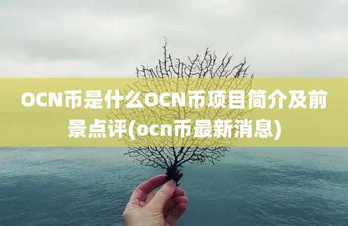 OCN币是什么OCN币项目简介及前景点评(ocn币最新消息)