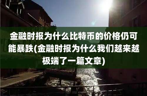 金融时报为什么比特币的价格仍可能暴跌(金融时报为什么我们越来越极端了一篇文章)