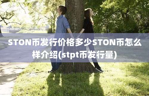 STON币发行价格多少STON币怎么样介绍(stpt币发行量)