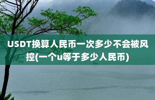 USDT换算人民币一次多少不会被风控(一个u等于多少人民币)