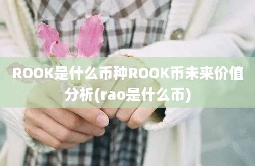 ROOK是什么币种ROOK币未来价值分析(rao是什么币)