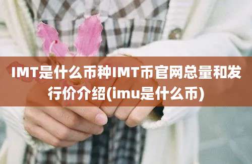 IMT是什么币种IMT币官网总量和发行价介绍(imu是什么币)