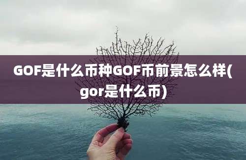 GOF是什么币种GOF币前景怎么样(gor是什么币)