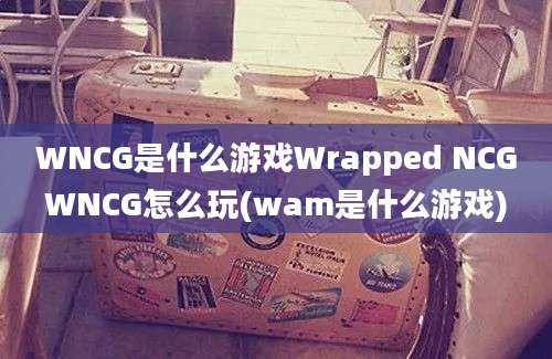 WNCG是什么游戏Wrapped NCGWNCG怎么玩(wam是什么游戏)