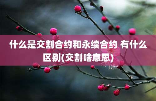 什么是交割合约和永续合约 有什么区别(交割啥意思)