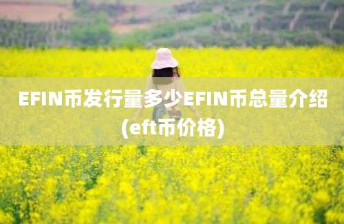 EFIN币发行量多少EFIN币总量介绍(eft币价格)