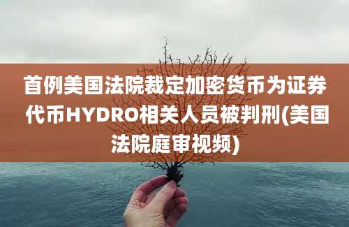 首例美国法院裁定加密货币为证券 代币HYDRO相关人员被判刑(美国法院庭审视频)