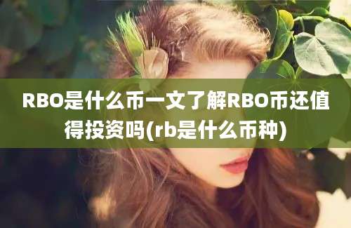 RBO是什么币一文了解RBO币还值得投资吗(rb是什么币种)