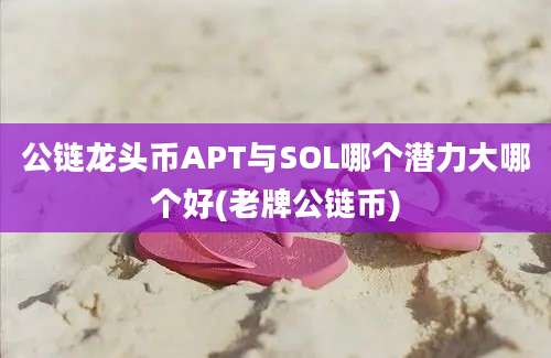 公链龙头币APT与SOL哪个潜力大哪个好(老牌公链币)