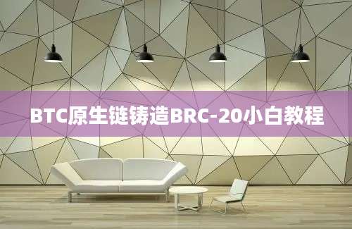 BTC原生链铸造BRC-20小白教程