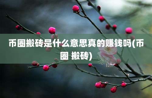 币圈搬砖是什么意思真的赚钱吗(币圈 搬砖)