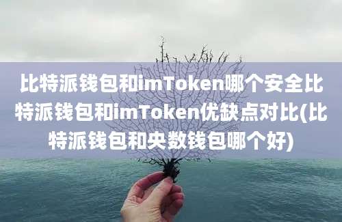 比特派钱包和imToken哪个安全比特派钱包和imToken优缺点对比(比特派钱包和央数钱包哪个好)