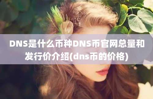 DNS是什么币种DNS币官网总量和发行价介绍(dns币的价格)