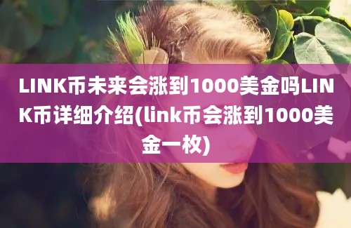 LINK币未来会涨到1000美金吗LINK币详细介绍(link币会涨到1000美金一枚)