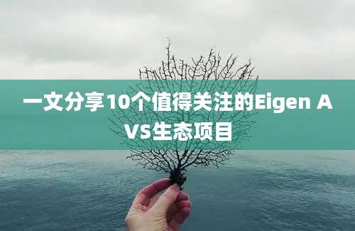 一文分享10个值得关注的Eigen AVS生态项目