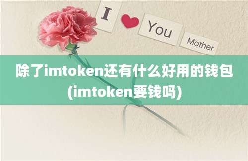 除了imtoken还有什么好用的钱包(imtoken要钱吗)