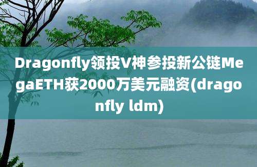 Dragonfly领投V神参投新公链MegaETH获2000万美元融资(dragonfly ldm)