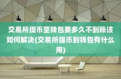 交易所提币至钱包要多久不到账该如何解决(交易所提币到钱包有什么用)