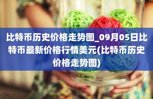 比特币历史价格走势图_09月05日比特币最新价格行情美元(比特币历史价格走势图)