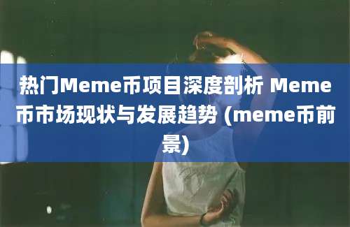 热门Meme币项目深度剖析 Meme币市场现状与发展趋势 (meme币前景)